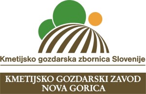 KGZNG_logo