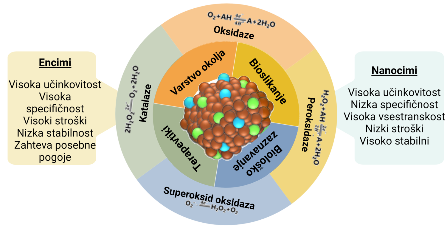 NaNoZymSafe