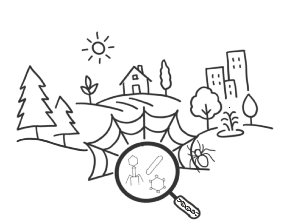 SPIVIWEB — Exploring spider web viromes for surveillance of virus diversity in ecosystems / Raziskovanje viroma pajčjih mrež za oceno virusne raznolikosti v ekosistemih