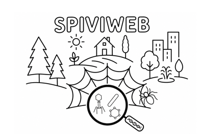 SPIVIWEB — Exploring spider web viromes for surveillance of virus diversity in ecosystems / Raziskovanje viroma pajčjih mrež za oceno virusne raznolikosti v ekosistemih