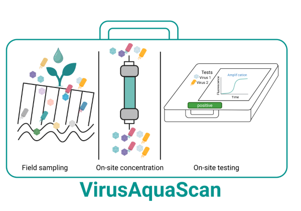 VirusAquaScan — Design of a portable system for agricultural applications enabling fast detection of harmful viruses in water samples